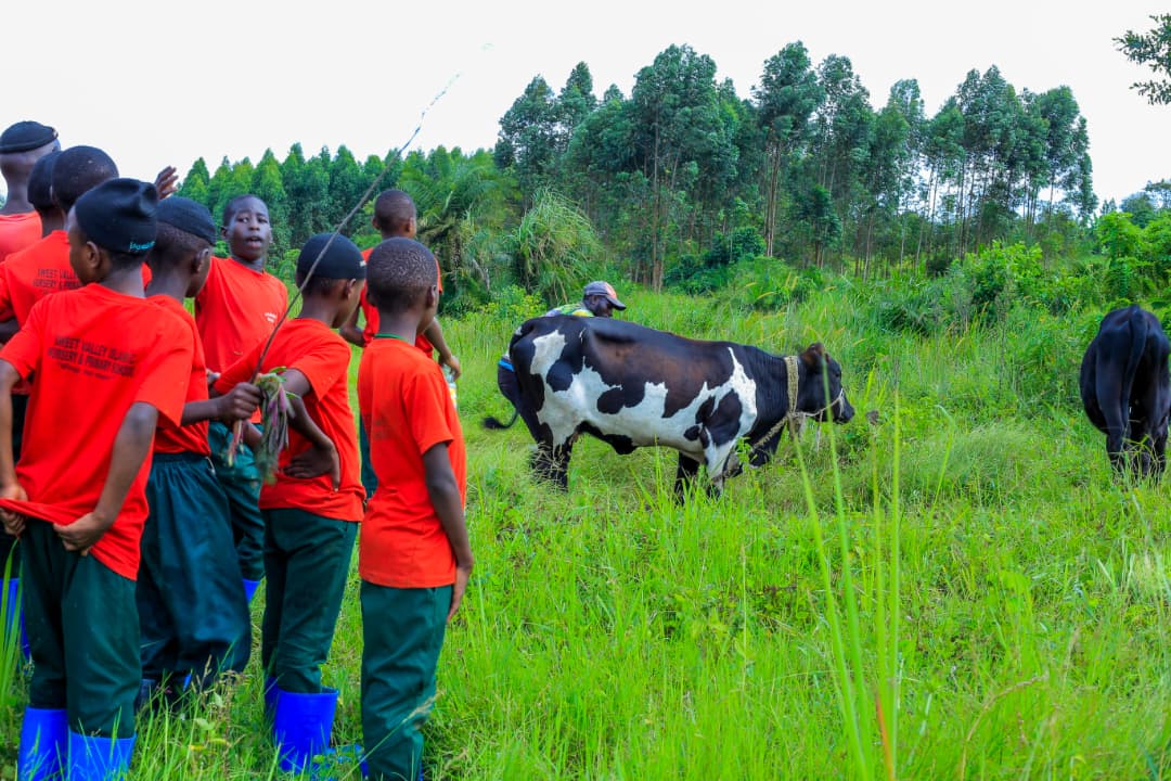 Environmental Conservation