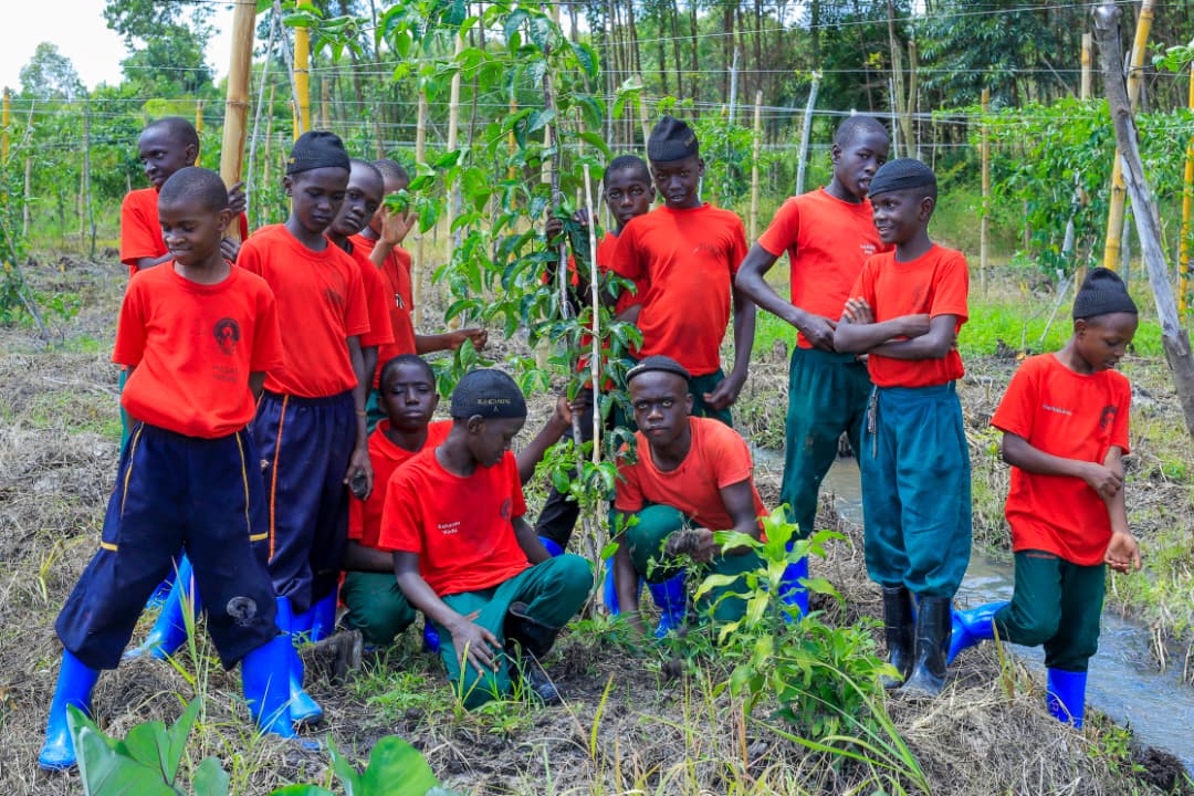 Tree Planting Initiative